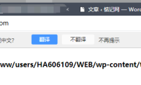 使用或是安装wp主题时，前台提示Parse error: syntax error, unexpected ‘}’ in 的错误代码提示