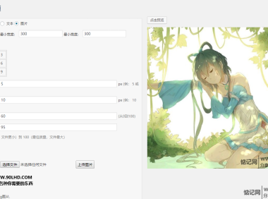 WordPress图片水印插件