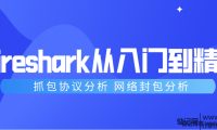 Wireshark抓包新手到精通