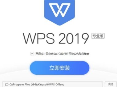 WPS Office 2019专业增强优化去广告版