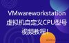 密码保护：虚拟机自定义CPU型号和CPU序号内容