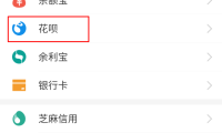 如何在《支付宝》上开通蚂蚁花呗？详细教程请看！