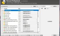 使用 Recuva v1.53.95 进行电脑数据恢复