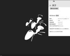 博猪二次优化！老方家Windows10蚂蚁多开系统，搬砖专用。