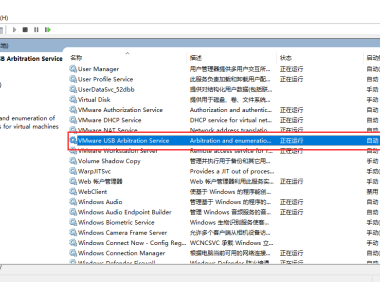 VMware的虚拟机怎样连接USB设备？