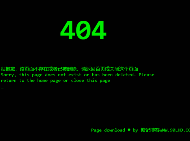 分享404页面的HTML源码，输入代码样式