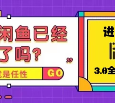 火爆全网的咸鱼玩法进阶课程